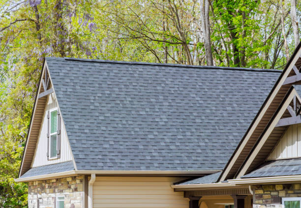 Best Metal Roofing Installation  in Sitka, AK